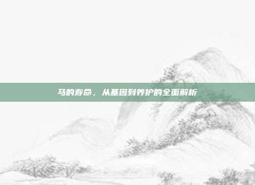 马的寿命，从基因到养护的全面解析
