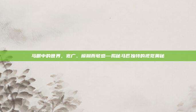 马眼中的世界,宽广、模糊而敏感—揭秘马匹独特的视觉奥秘