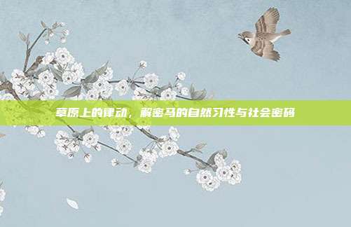 草原上的律动,解密马的自然习性与社会密码