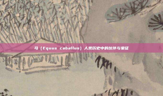 马（Equus caballus）人类历史中的伙伴与象征