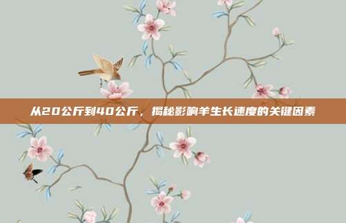 从20公斤到40公斤，揭秘影响羊生长速度的关键因素