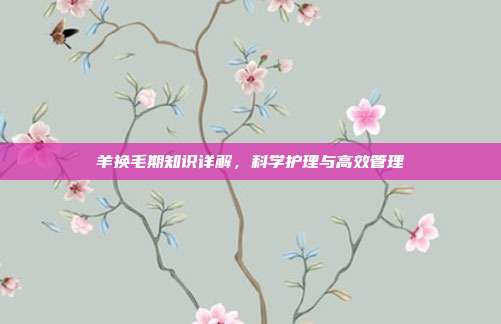 羊换毛期知识详解，科学护理与高效管理