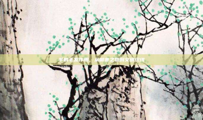 羊的毛发作用，从御寒之物到文明织线