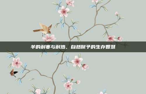 羊的耐寒与耐热，自然赋予的生存智慧
