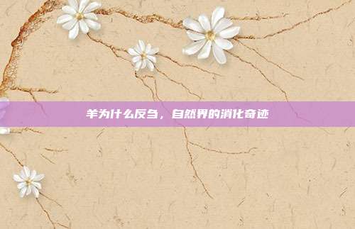 羊为什么反刍，自然界的消化奇迹