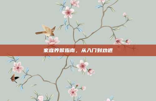 家庭养猴指南，从入门到劝退