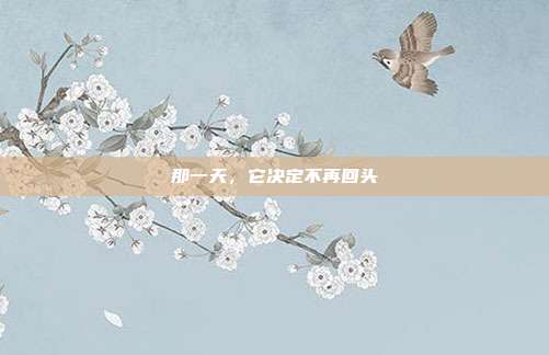 那一天，它决定不再回头