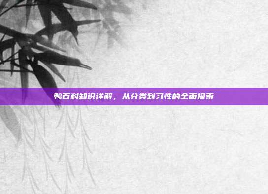 鸭百科知识详解，从分类到习性的全面探索