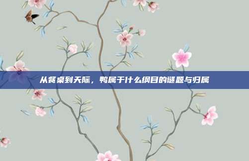 从餐桌到天际，鸭属于什么纲目的谜题与归属