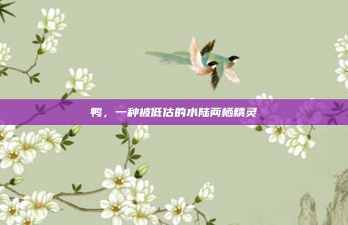鸭，一种被低估的水陆两栖精灵