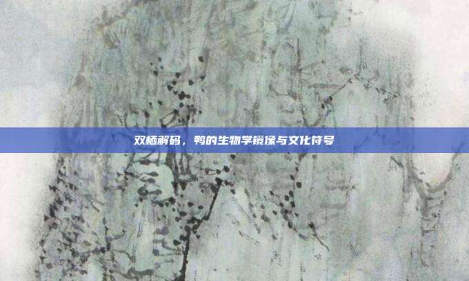 双栖解码，鸭的生物学镜像与文化符号