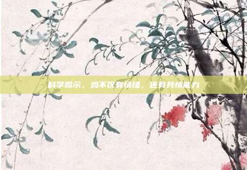科学揭示，鸡不仅有情绪，还有共情能力