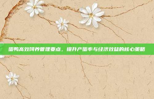 蛋鸭高效饲养管理要点，提升产蛋率与经济效益的核心策略