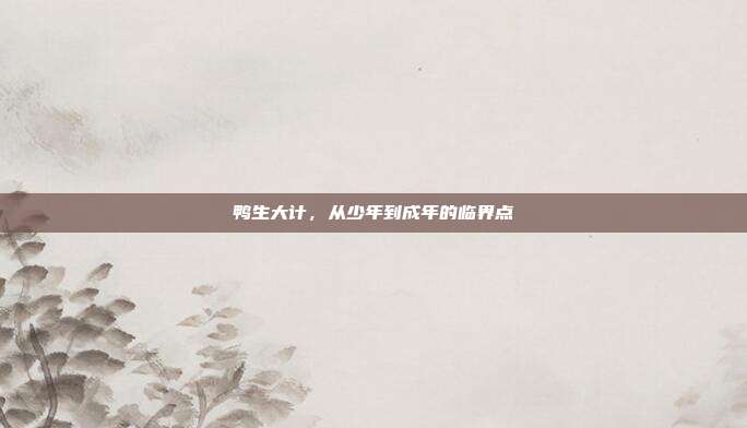 鸭生大计，从少年到成年的临界点