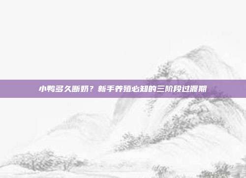小鸭多久断奶？新手养殖必知的三阶段过渡期