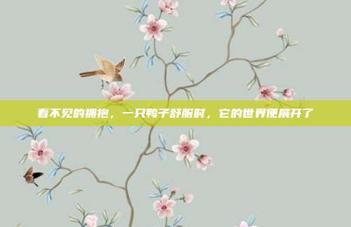 看不见的拥抱，一只鸭子舒服时，它的世界便展开了