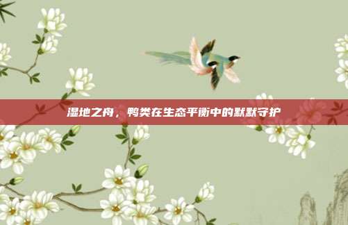 湿地之舟，鸭类在生态平衡中的默默守护