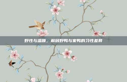 野性与温顺，解码野鸭与家鸭的习性差异