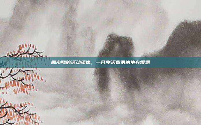 解密鸭的活动规律，一日生活背后的生存智慧