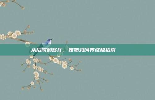 从后院到客厅，宠物鸡饲养终极指南🐔