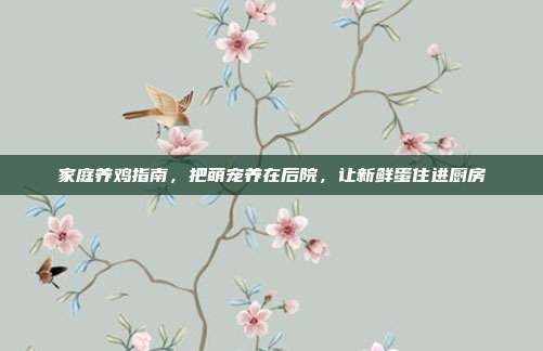 家庭养鸡指南,把萌宠养在后院,让新鲜蛋住进厨房