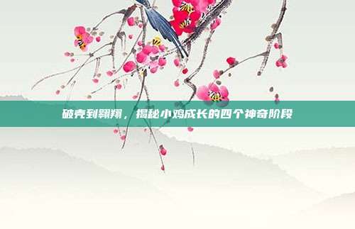 破壳到翱翔,揭秘小鸡成长的四个神奇阶段