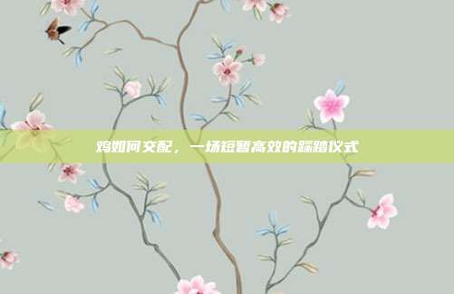 鸡如何交配，一场短暂高效的踩踏仪式