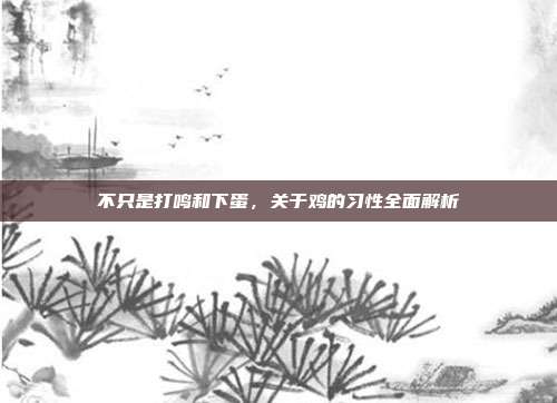 不只是打鸣和下蛋,关于鸡的习性全面解析