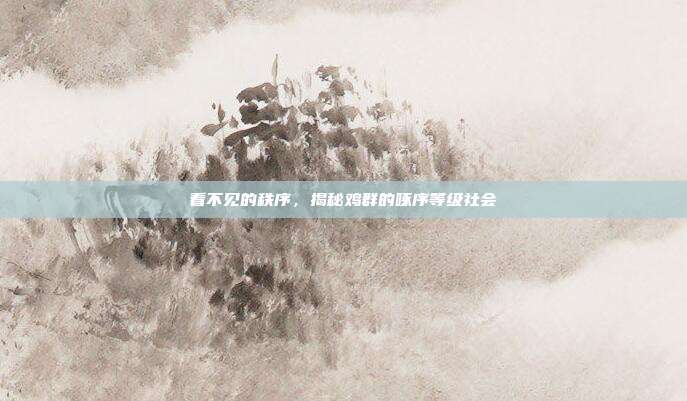 看不见的秩序,揭秘鸡群的啄序等级社会