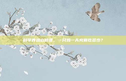 科学养鸡必修课，一只鸡一天究竟吃多少？