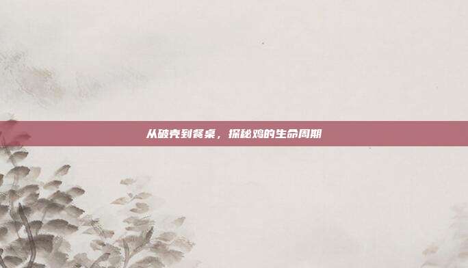 从破壳到餐桌,探秘鸡的生命周期