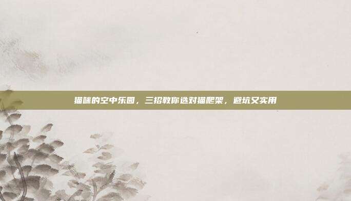 猫咪的空中乐园,三招教你选对猫爬架,避坑又实用