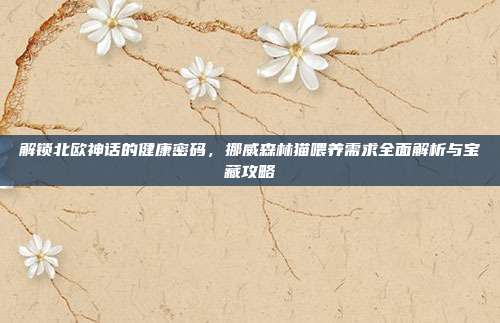 解锁北欧神话的健康密码,挪威森林猫喂养需求全面解析与宝藏攻略