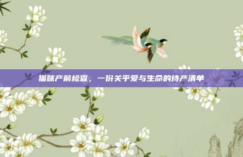 猫咪产前检查,一份关乎爱与生命的待产清单