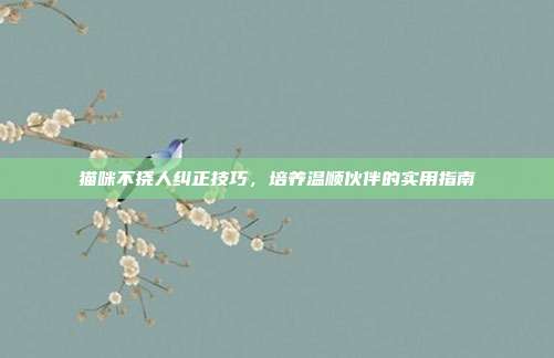 猫咪不挠人纠正技巧，培养温顺伙伴的实用指南