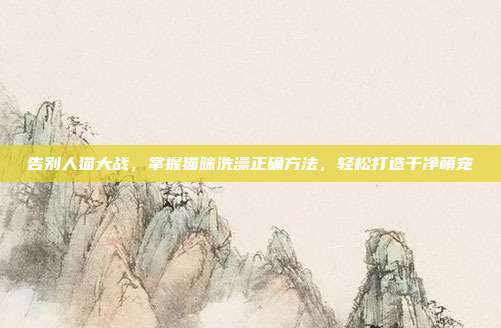 告别人猫大战,掌握猫咪洗澡正确方法,轻松打造干净萌宠