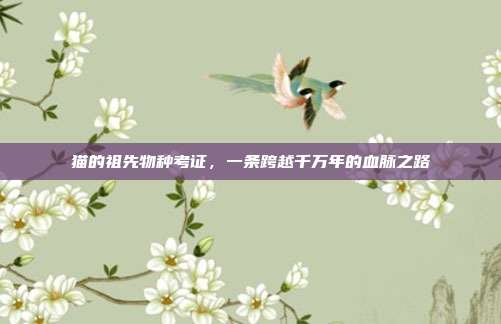 猫的祖先物种考证,一条跨越千万年的血脉之路