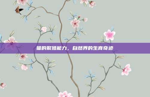 猫的繁殖能力,自然界的生育奇迹