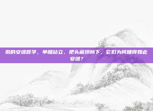 鹅的安逸哲学,单腿站立、把头藏翅膀下,它们为何睡得如此安逸?