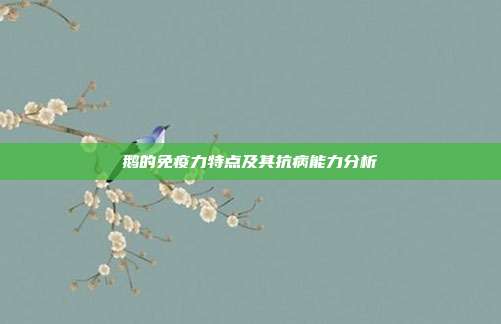 鹅的免疫力特点及其抗病能力分析