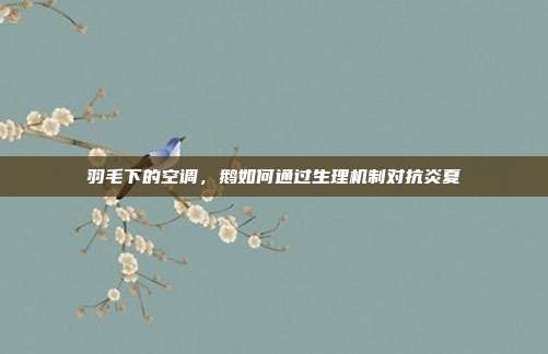 羽毛下的空调，鹅如何通过生理机制对抗炎夏