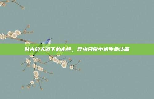 时光放大镜下的永恒，昆虫日常中的生命诗篇