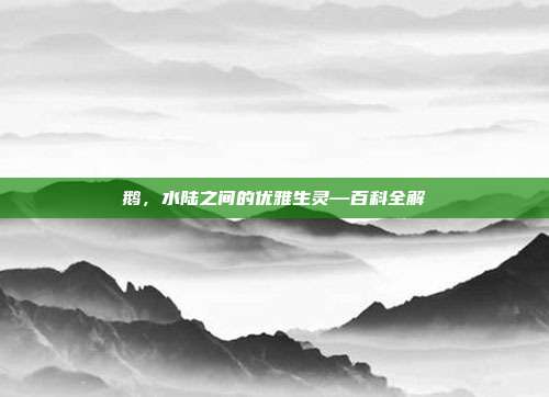 鹅，水陆之间的优雅生灵—百科全解