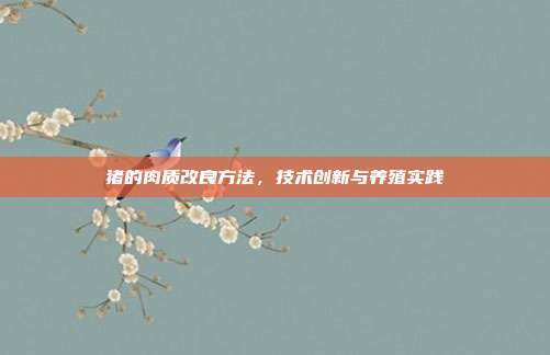 猪的肉质改良方法，技术创新与养殖实践