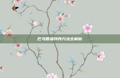 巴马香猪饲养方法全解析