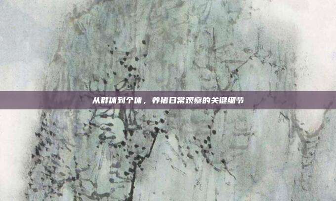 从群体到个体,养猪日常观察的关键细节