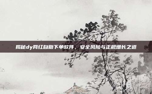 揭秘dy网红自助下单软件,安全风险与正规增长之道