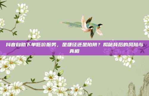 抖音自助下单低价服务,是捷径还是陷阱?揭秘背后的风险与真相