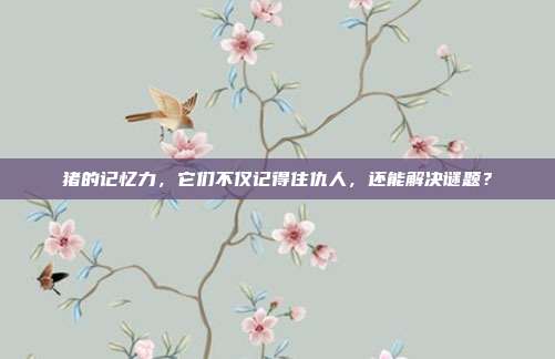 猪的记忆力,它们不仅记得住仇人,还能解决谜题?