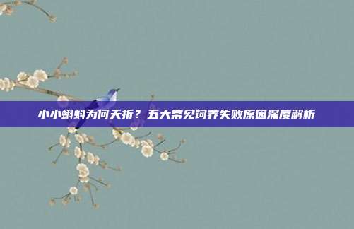 小小蝌蚪为何夭折？五大常见饲养失败原因深度解析